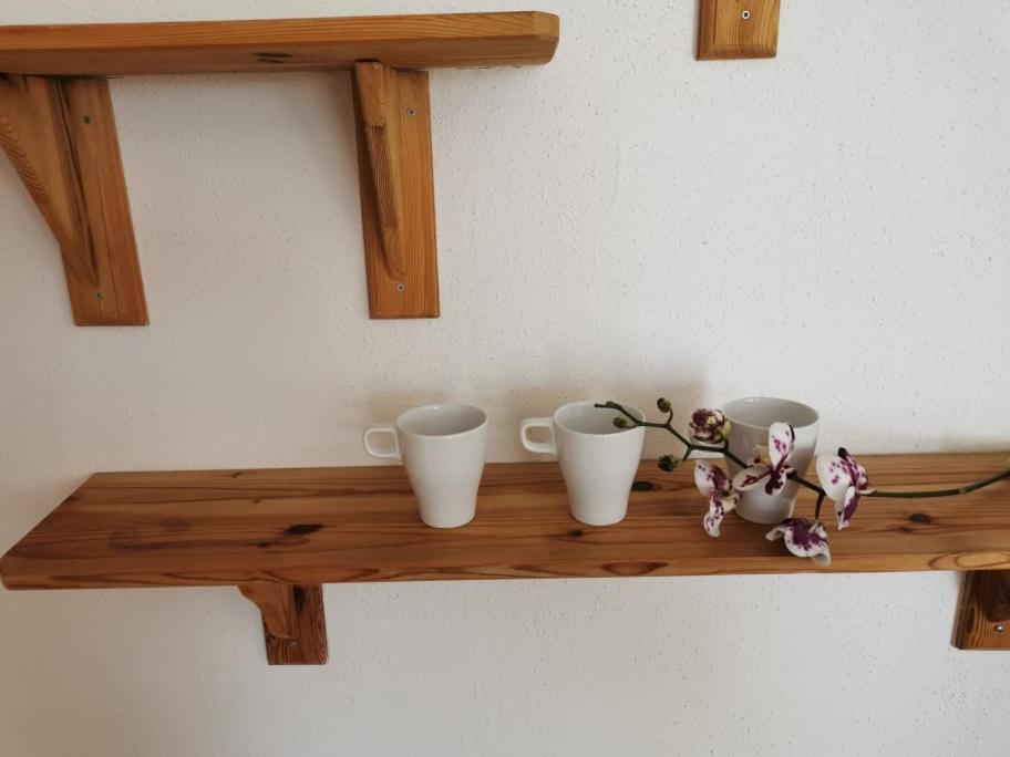 Apartma Lindau Лендава Экстерьер фото