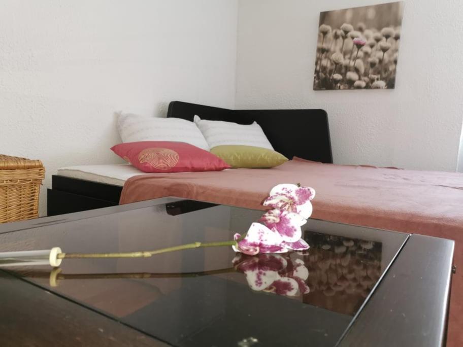 Apartma Lindau Лендава Экстерьер фото